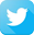 Twitter Icon