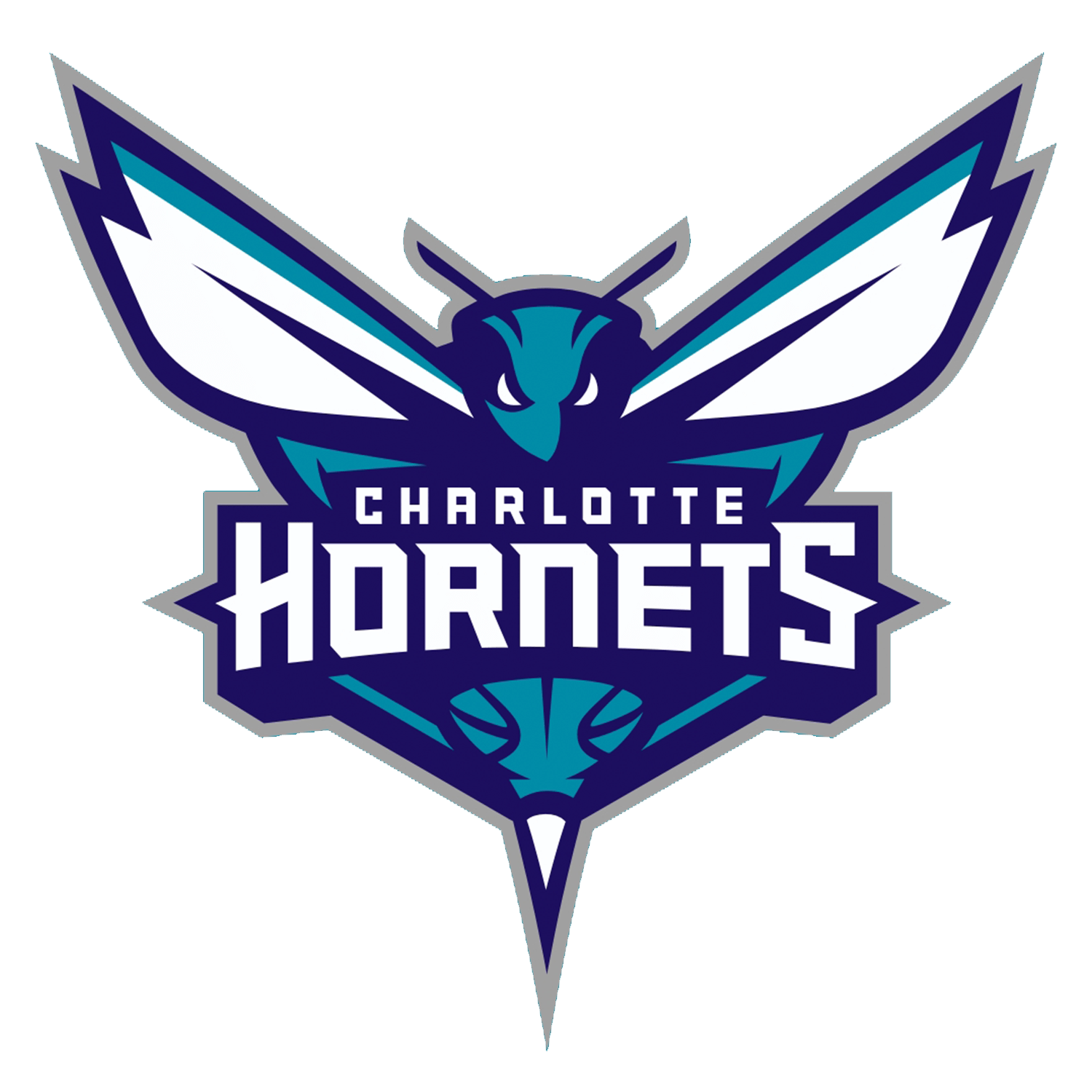 Charlotte Hornets